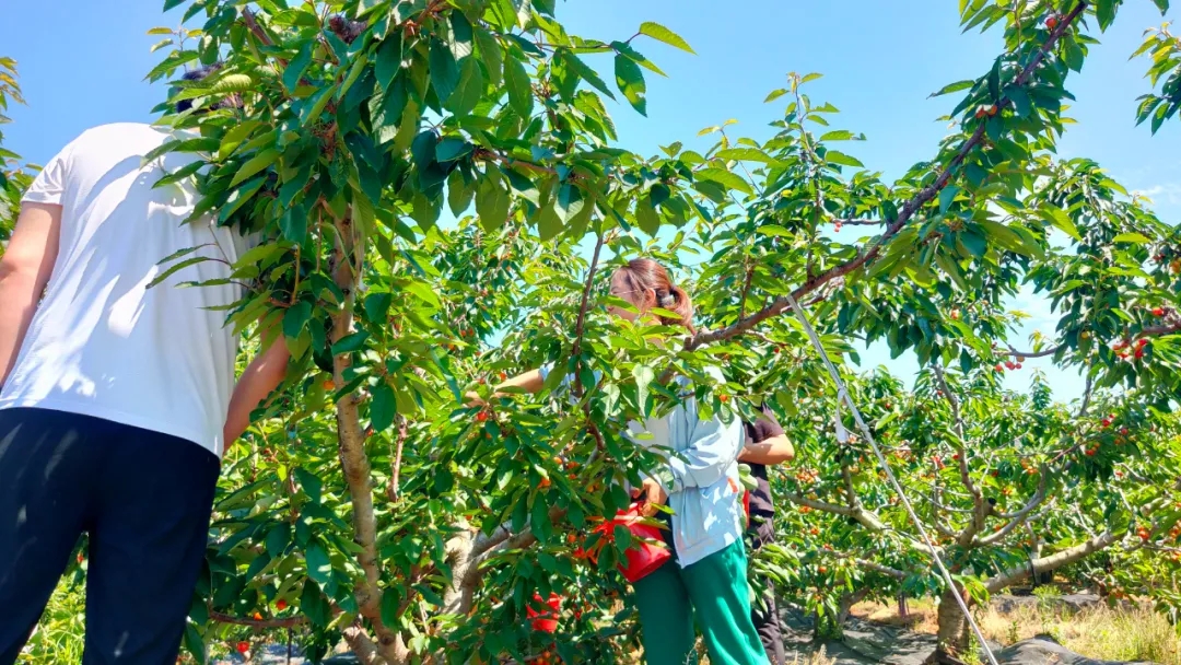 银河集团186net(中国)有限公司官网