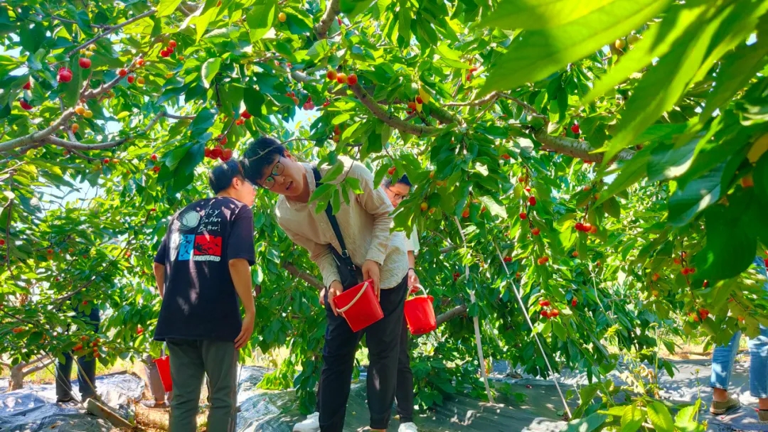 银河集团186net(中国)有限公司官网