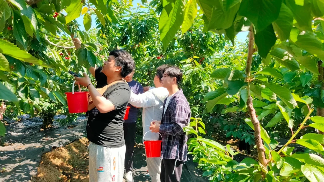 银河集团186net(中国)有限公司官网